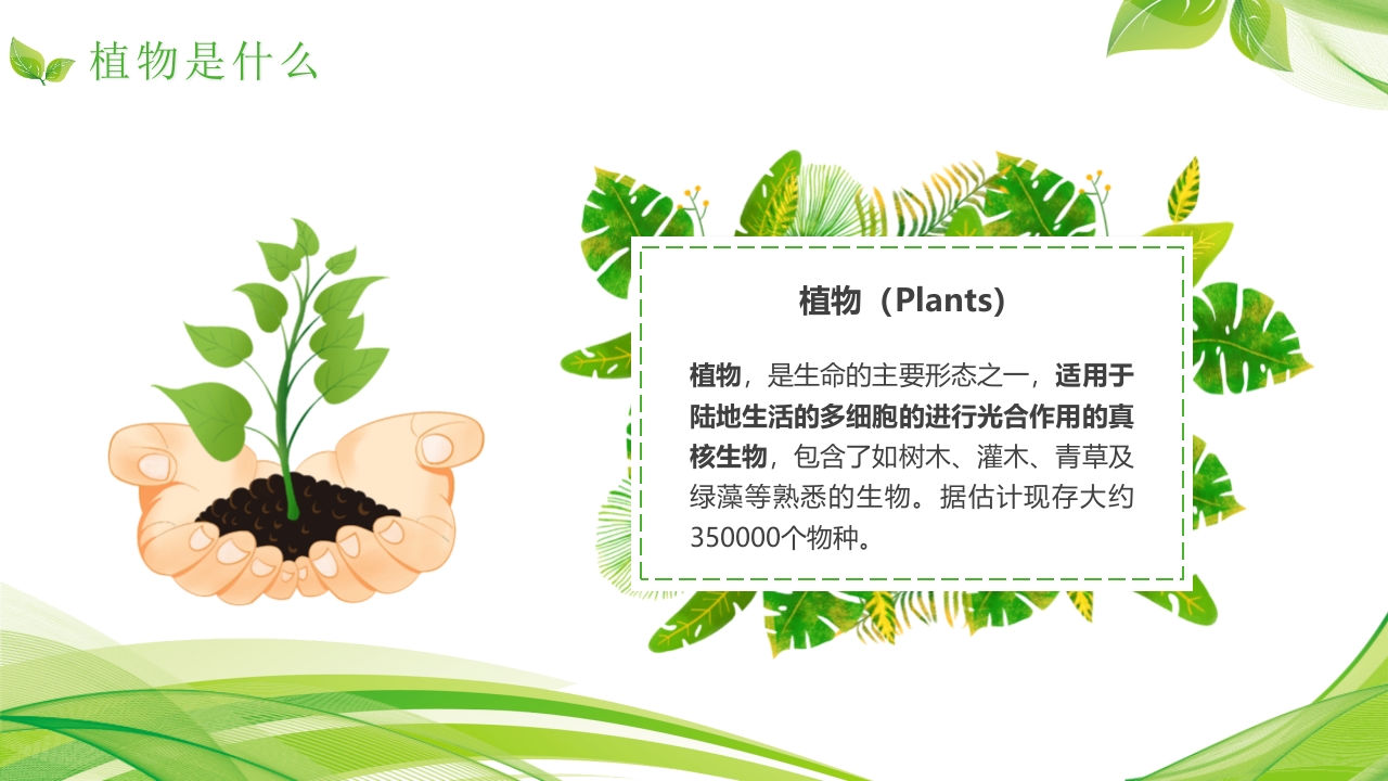 植物介绍笔记”植物知识科普介绍PPT课件4