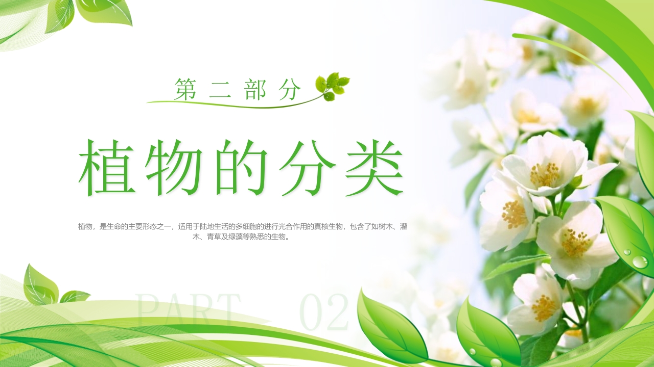 植物介绍笔记”植物知识科普介绍PPT课件6