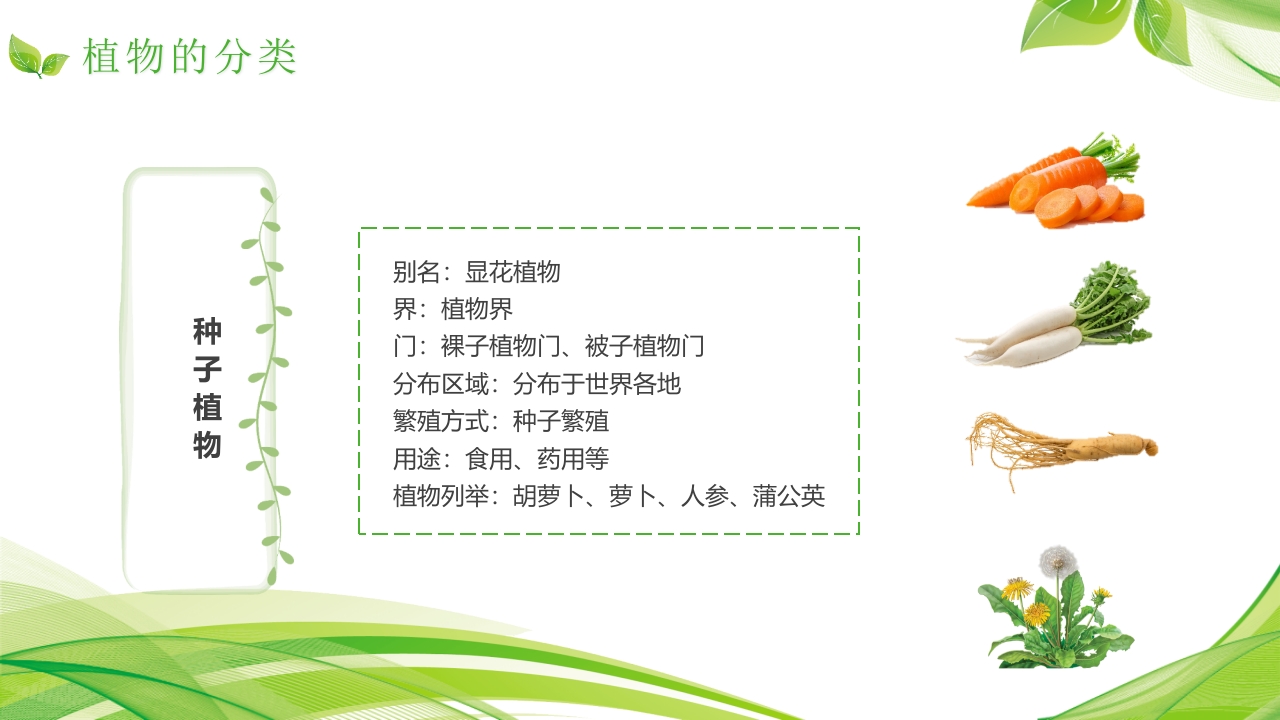 植物介绍笔记”植物知识科普介绍PPT课件8