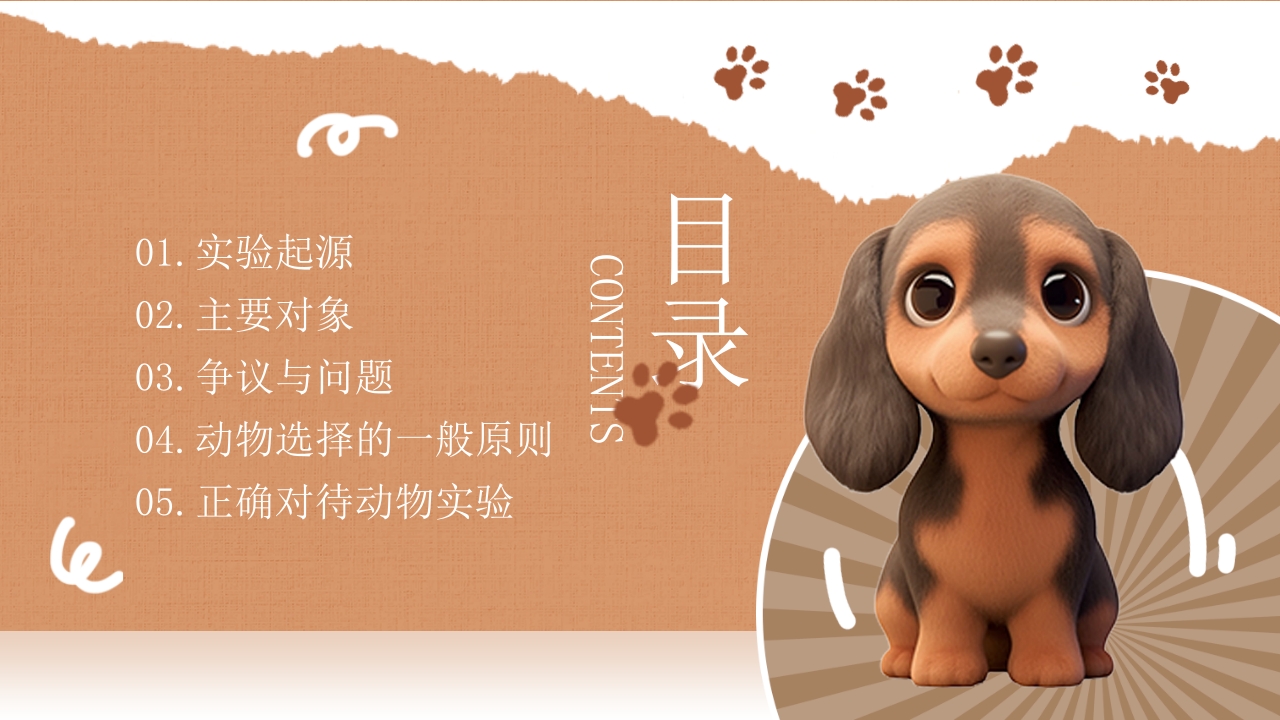 善待实验动物PPT课件2