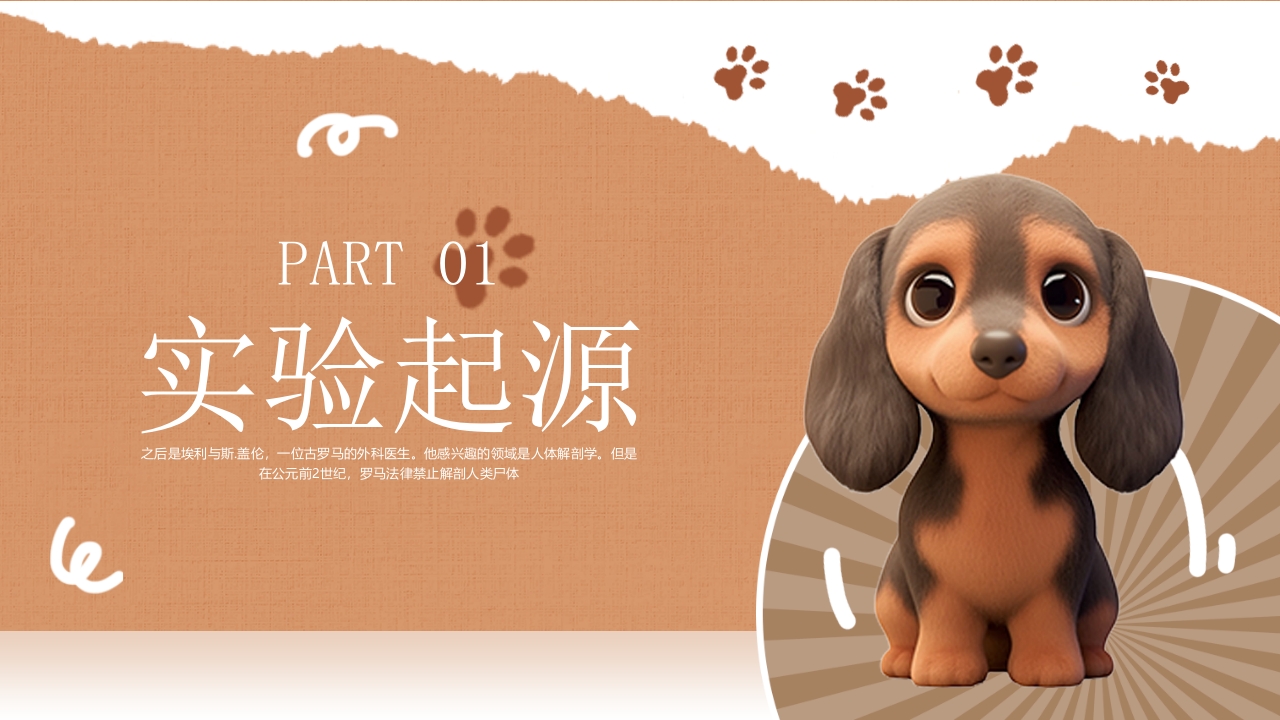 善待实验动物PPT课件3