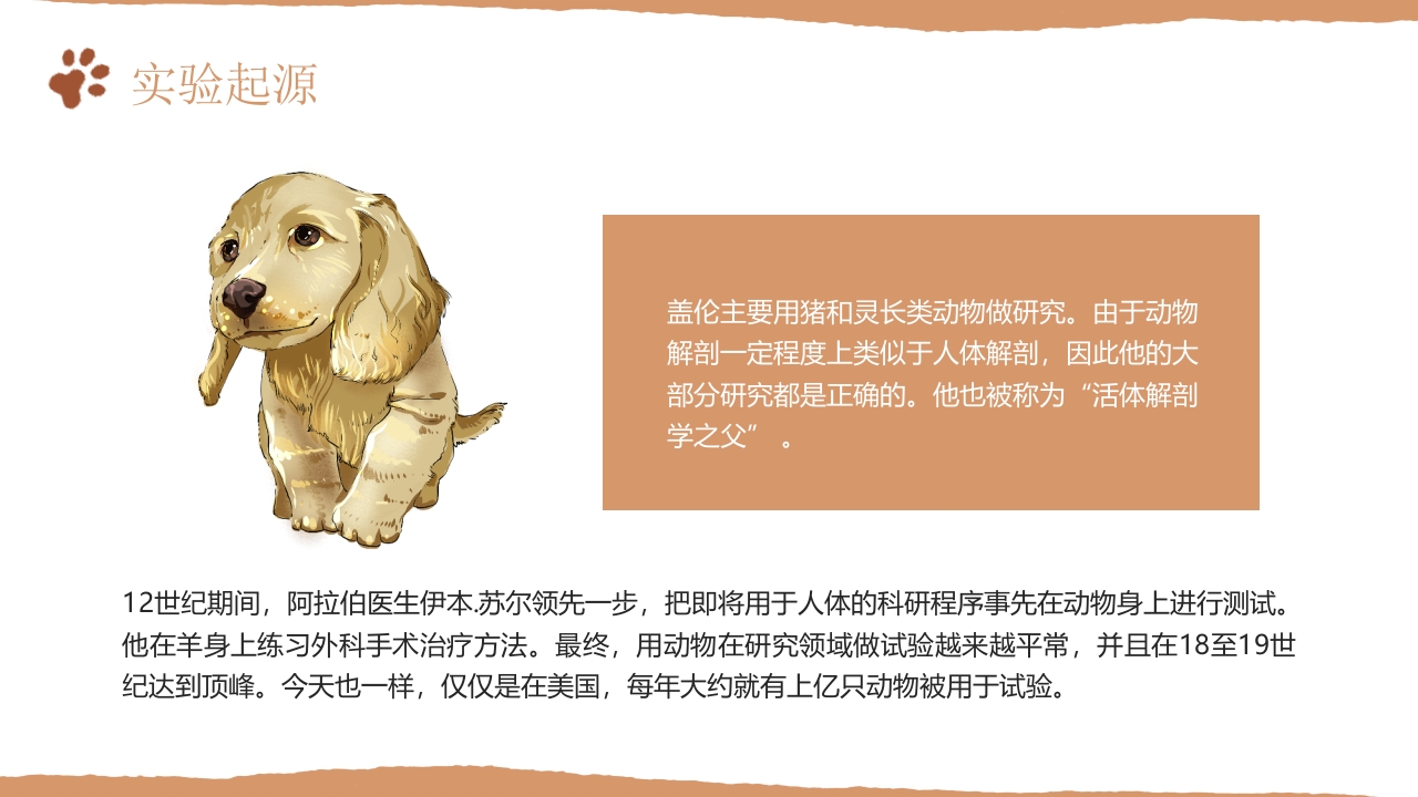善待实验动物PPT课件5