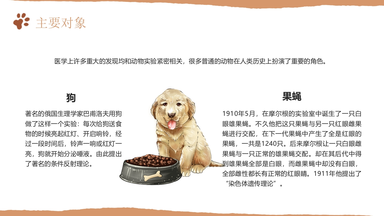 善待实验动物PPT课件7