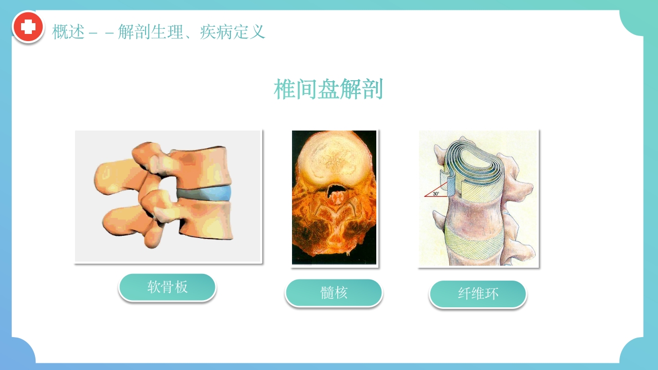 腰椎间盘突出症围手术期护理及康复锻炼PPT课件5