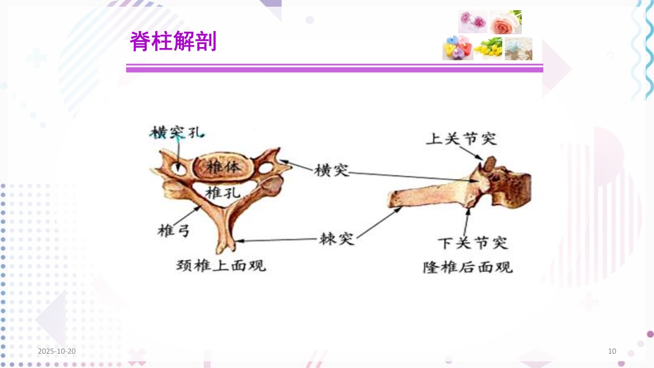脊柱侧弯手术治疗ppt课件10