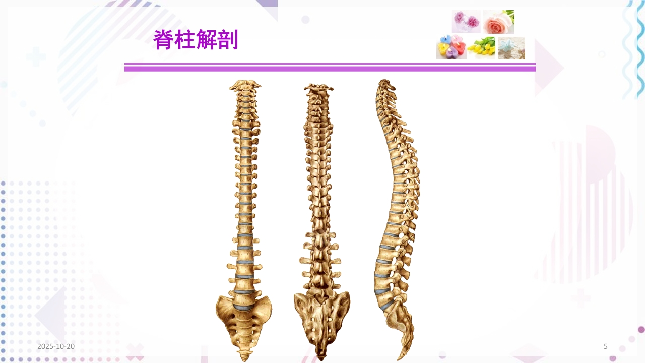 脊柱侧弯手术治疗ppt课件5