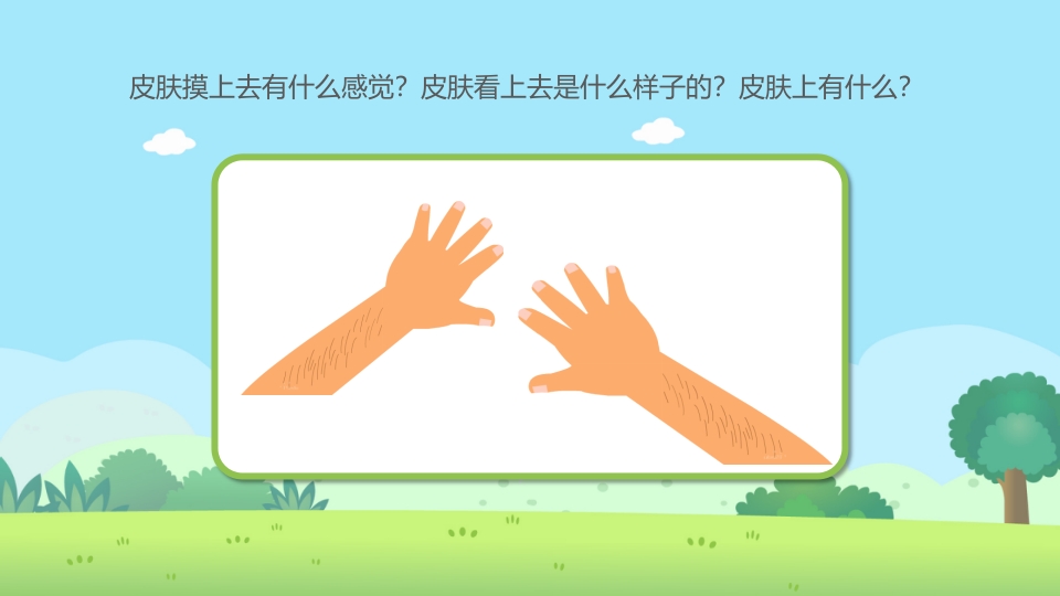 《保护我们的皮肤》幼儿园小班健康活动教育主题PPT课件4