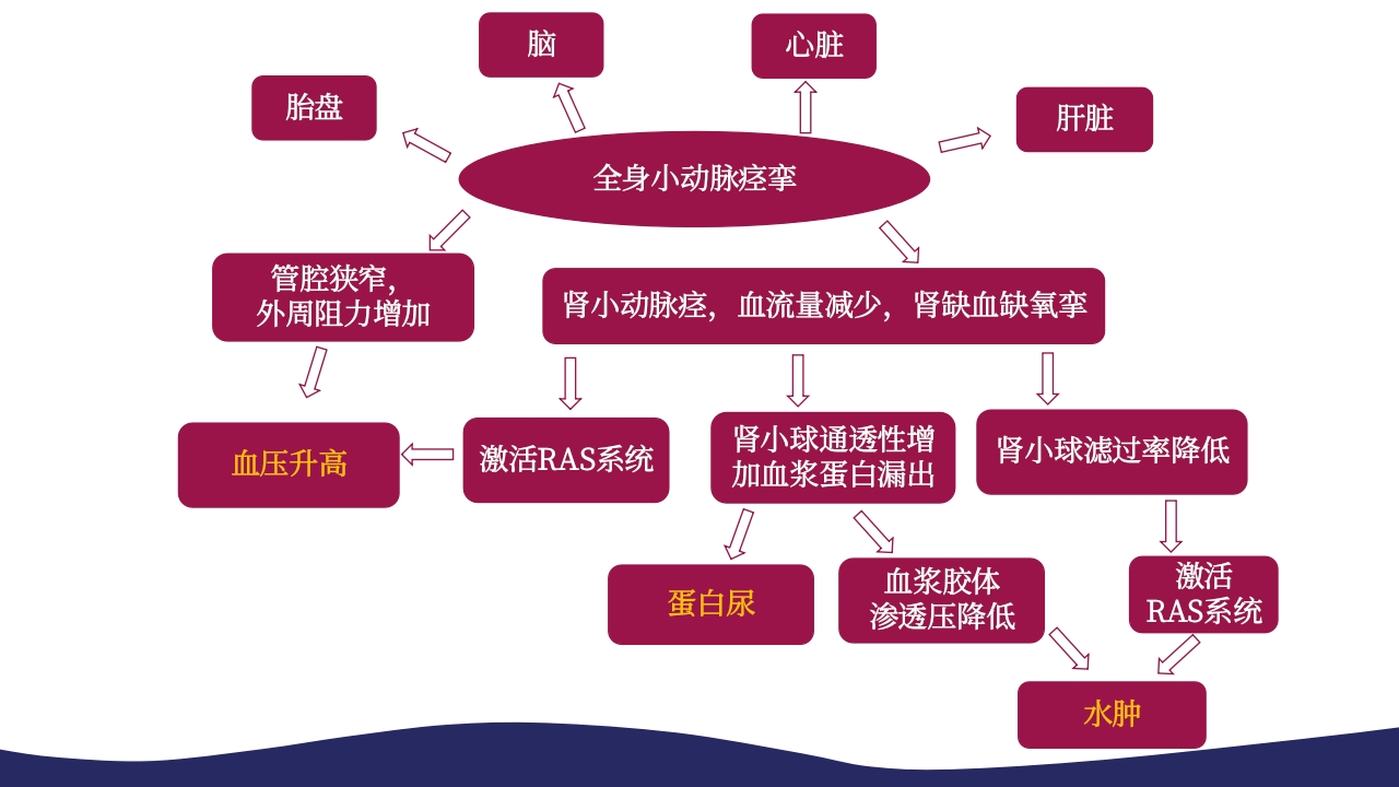 妊娠高血压疾病PPT课件9