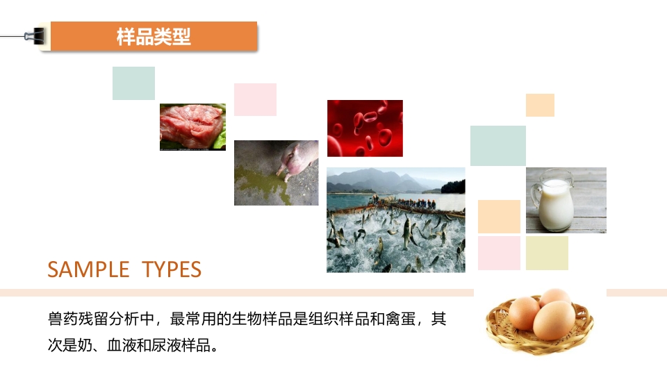 兽药残留样品前处理技术ppt课件6