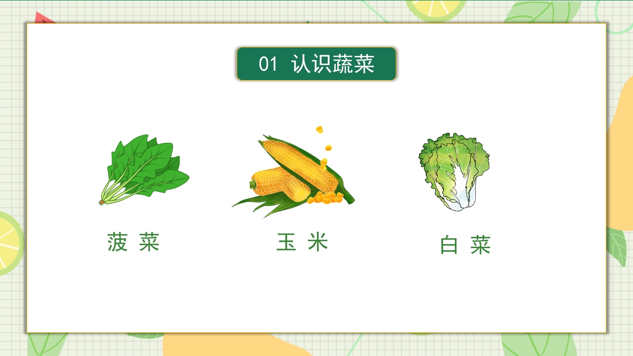 儿童认识蔬菜水果儿童教育PPT课件4