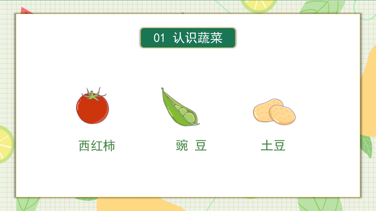 儿童认识蔬菜水果儿童教育PPT课件6