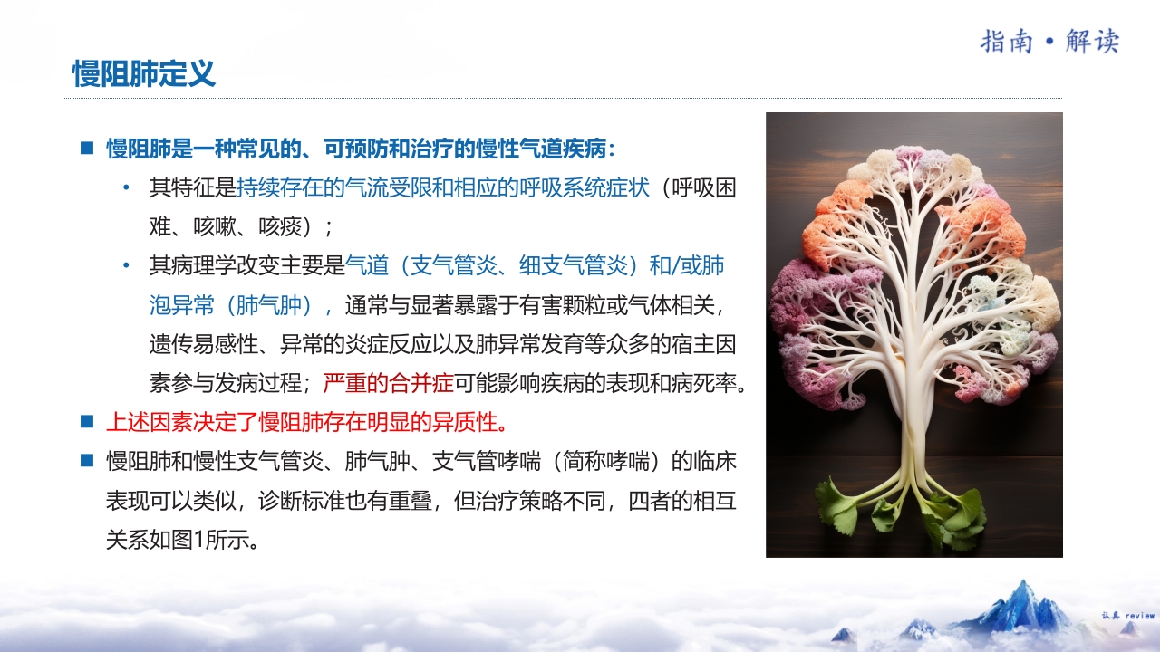 中国慢性阻塞性肺疾病基层诊疗指南2024年解读5