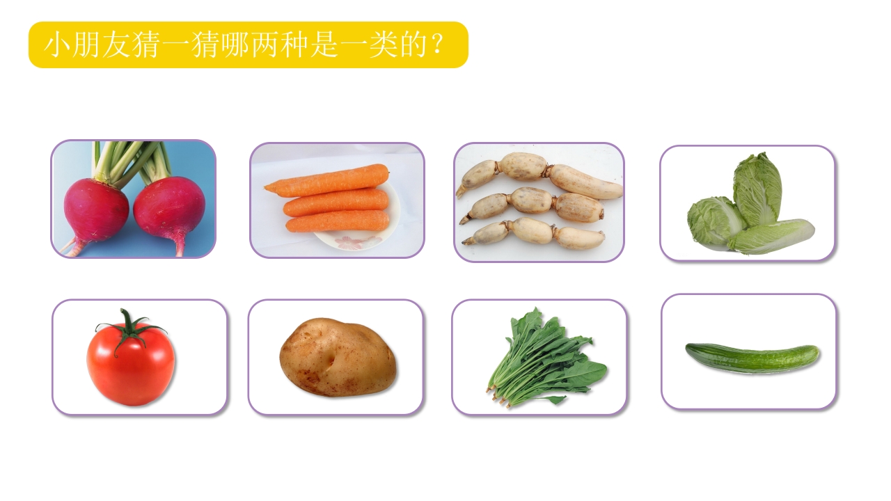 《我爱吃蔬菜》幼儿园小班健康活动PPT课件10