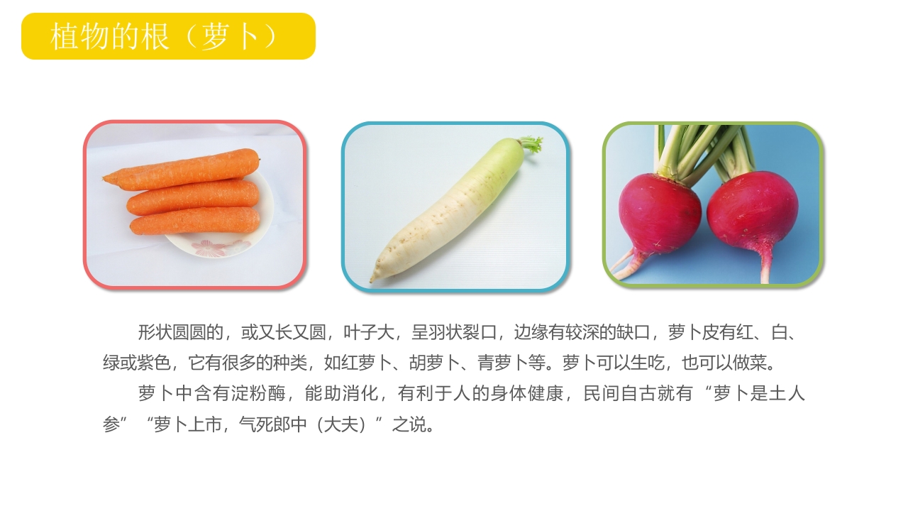 《我爱吃蔬菜》幼儿园小班健康活动PPT课件5