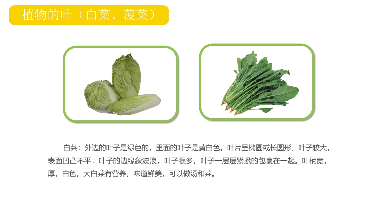 《我爱吃蔬菜》幼儿园小班健康活动PPT课件6
