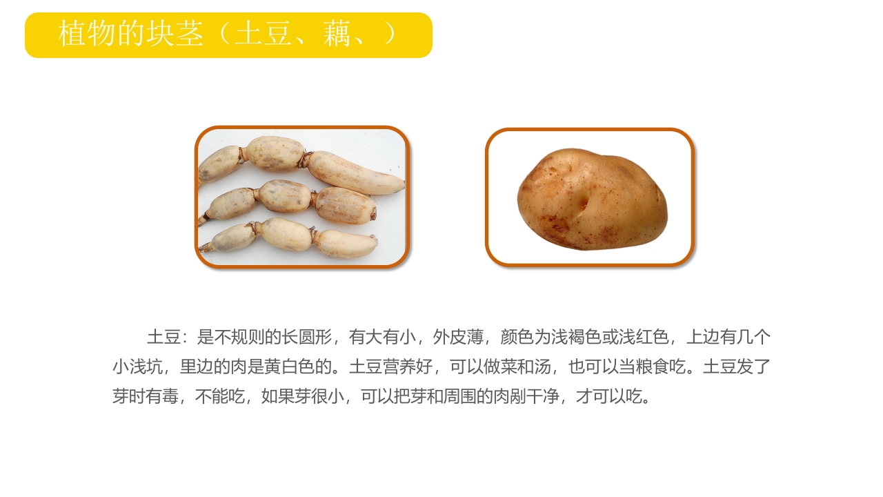 《我爱吃蔬菜》幼儿园小班健康活动PPT课件7