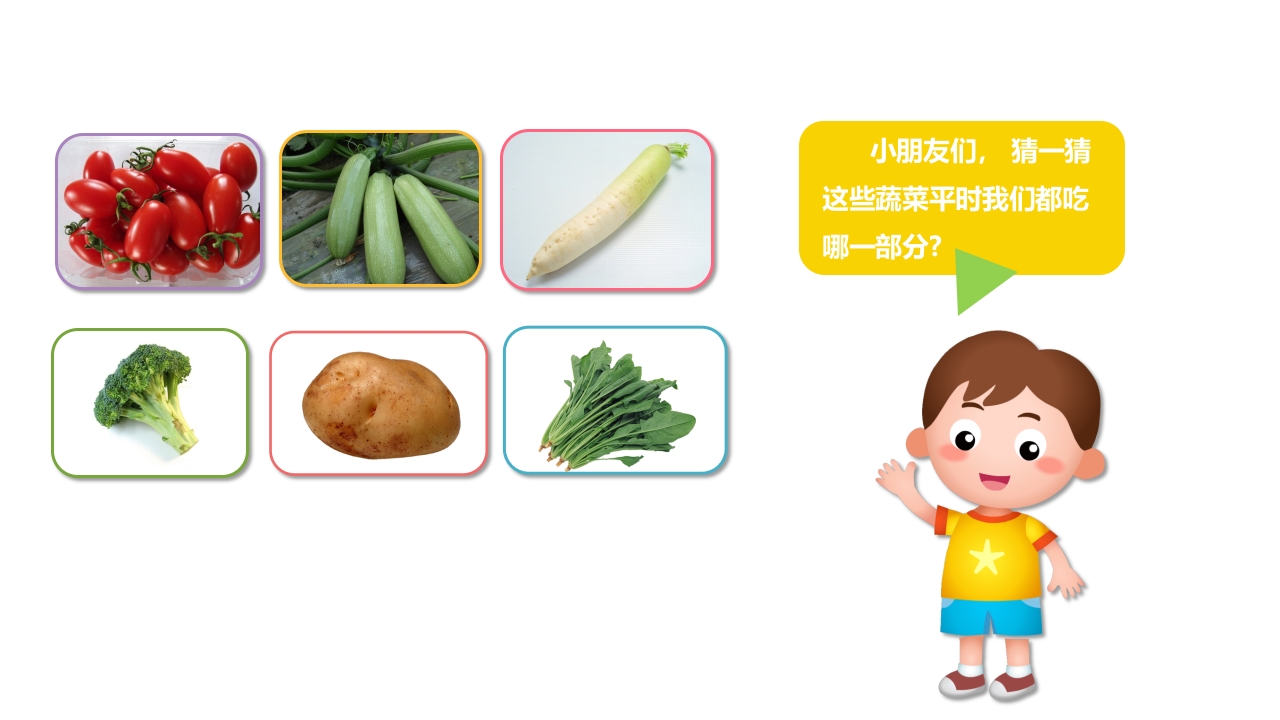 《我爱吃蔬菜》幼儿园小班健康活动PPT课件8