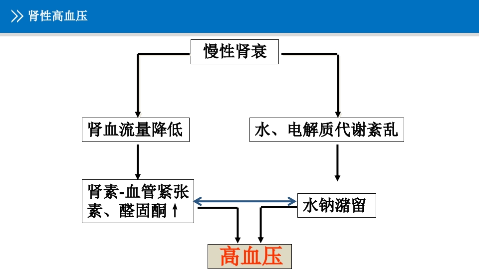 浅析血液透析患者的常规用药ppt课件6