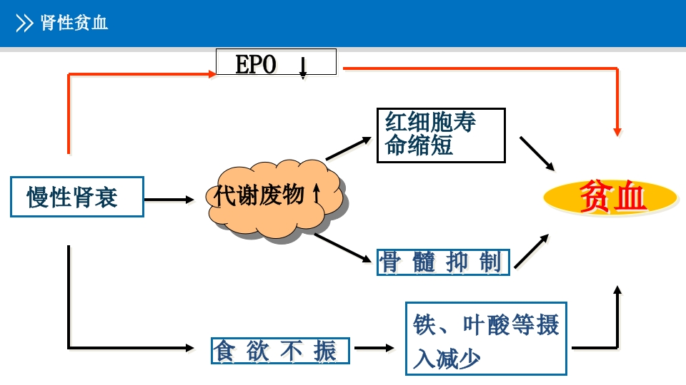 浅析血液透析患者的常规用药ppt课件7