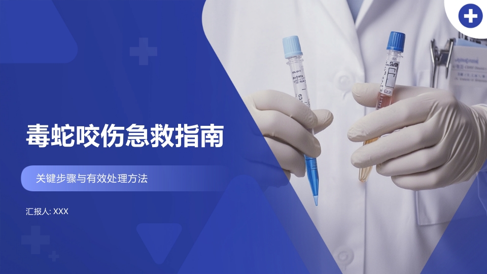 毒蛇咬伤急救指南PPT课件1