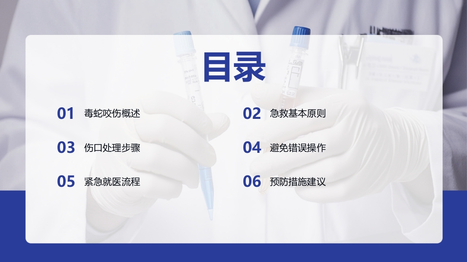 毒蛇咬伤急救指南PPT课件2