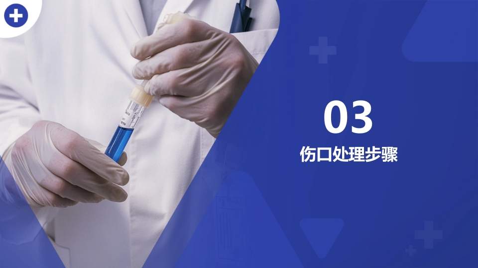 毒蛇咬伤急救指南PPT课件9