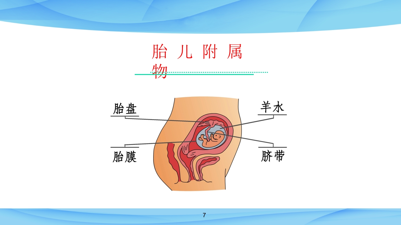 第一讲-孕期常见身体不适的缓解方法课件ppt课件7