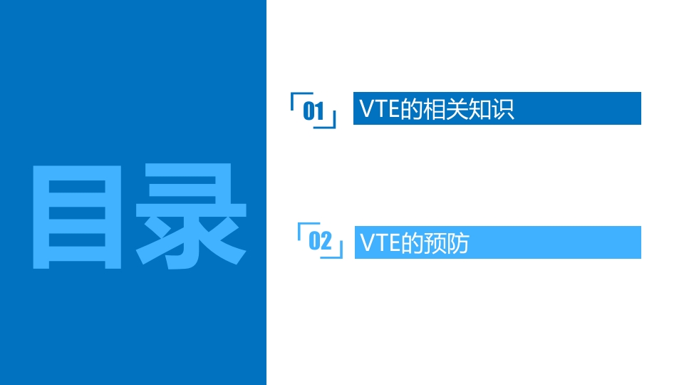 VTE的评估与预防ppt课件2