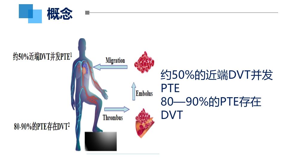 VTE的评估与预防ppt课件9