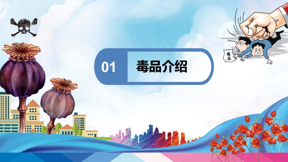 禁毒学校青少年预防远离毒品教育PPT课件3