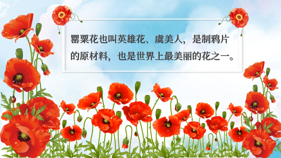 禁毒学校青少年预防远离毒品教育PPT课件4