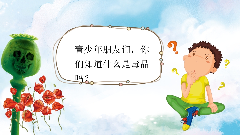 禁毒学校青少年预防远离毒品教育PPT课件7