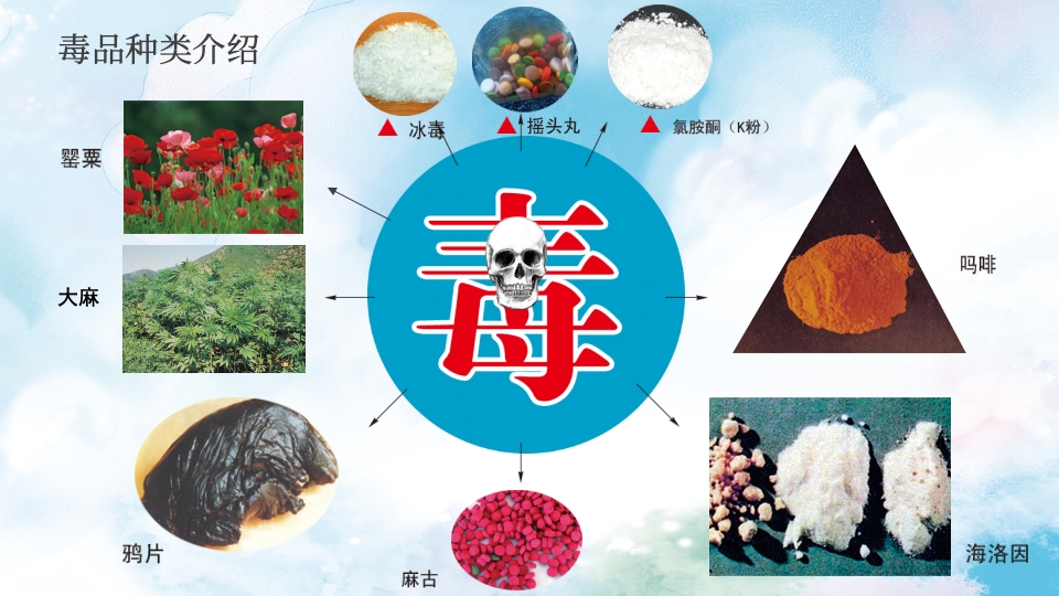 禁毒学校青少年预防远离毒品教育PPT课件8