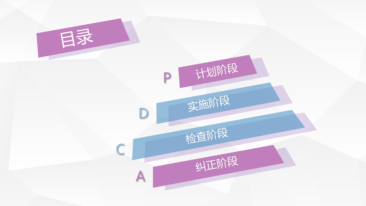 骨科PDCAppt课件2
