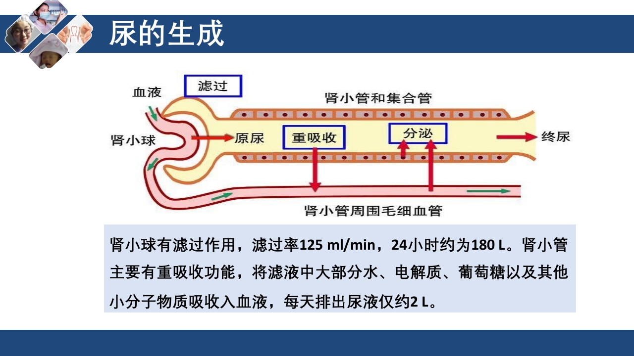 血液透析原理ppt课件10