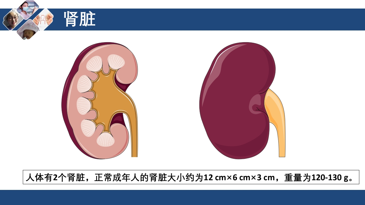 血液透析原理ppt课件4