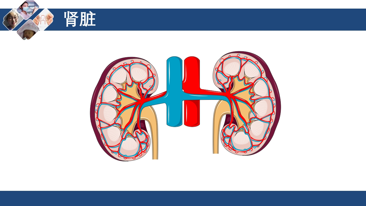 血液透析原理ppt课件5