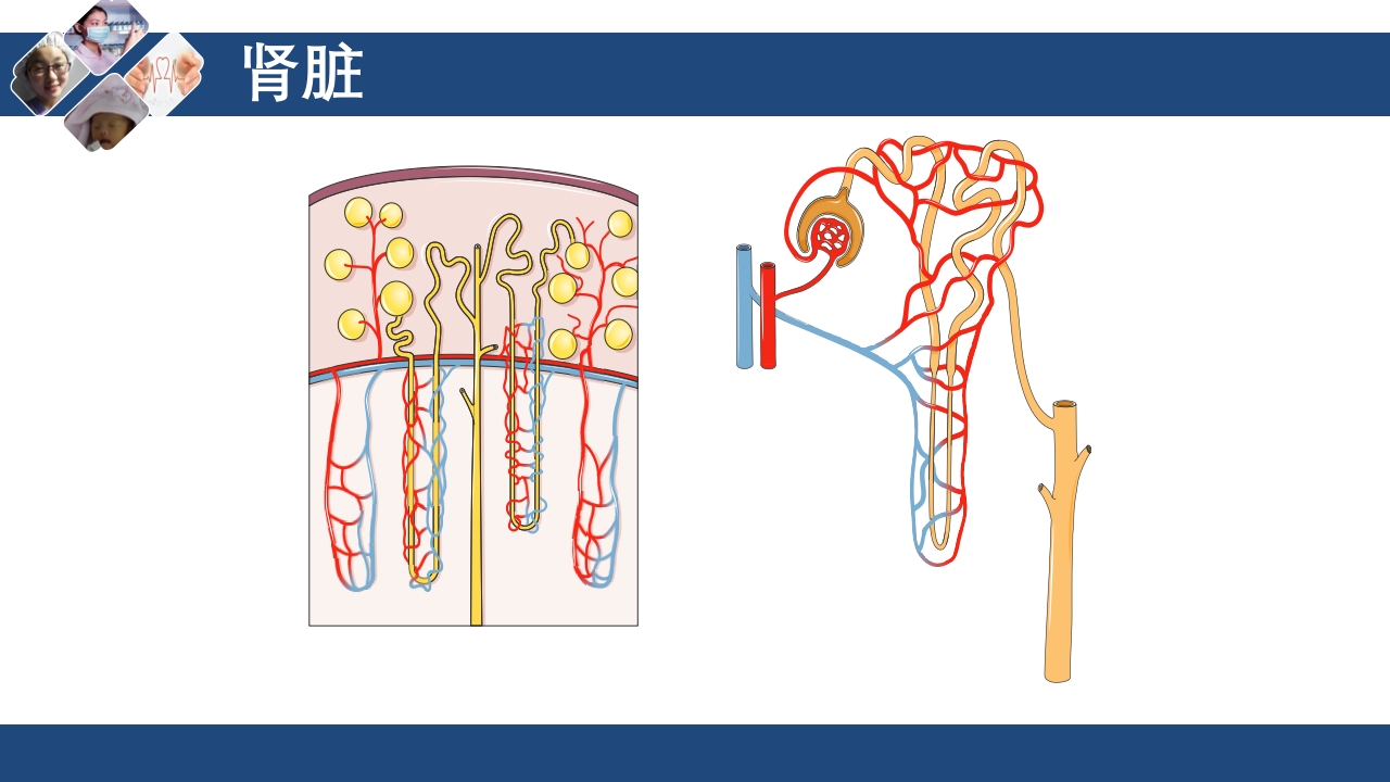 血液透析原理ppt课件6