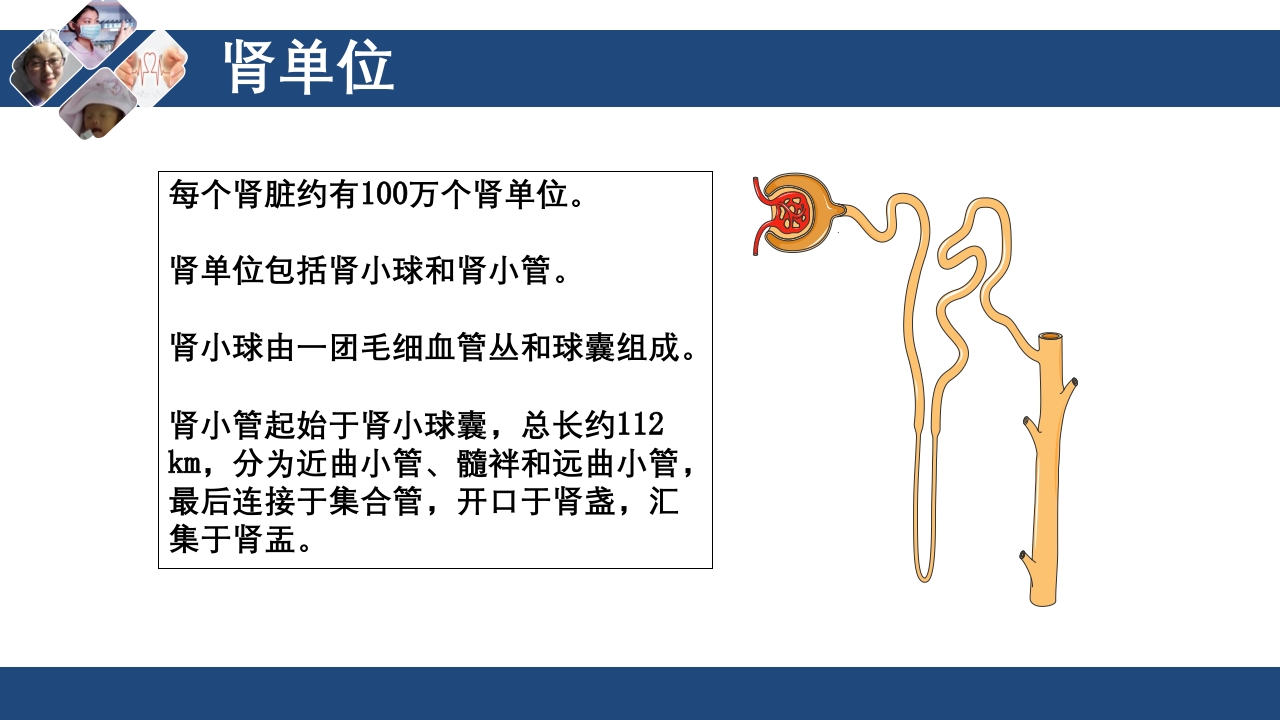 血液透析原理ppt课件7