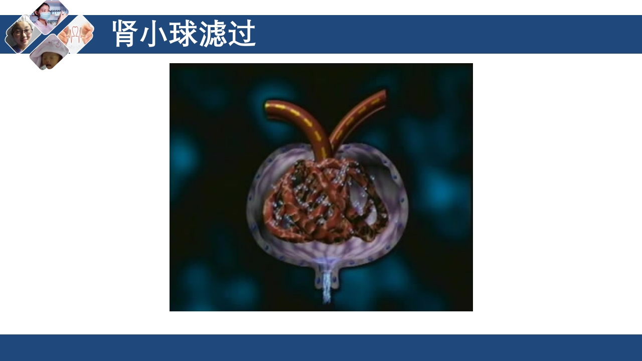 血液透析原理ppt课件8