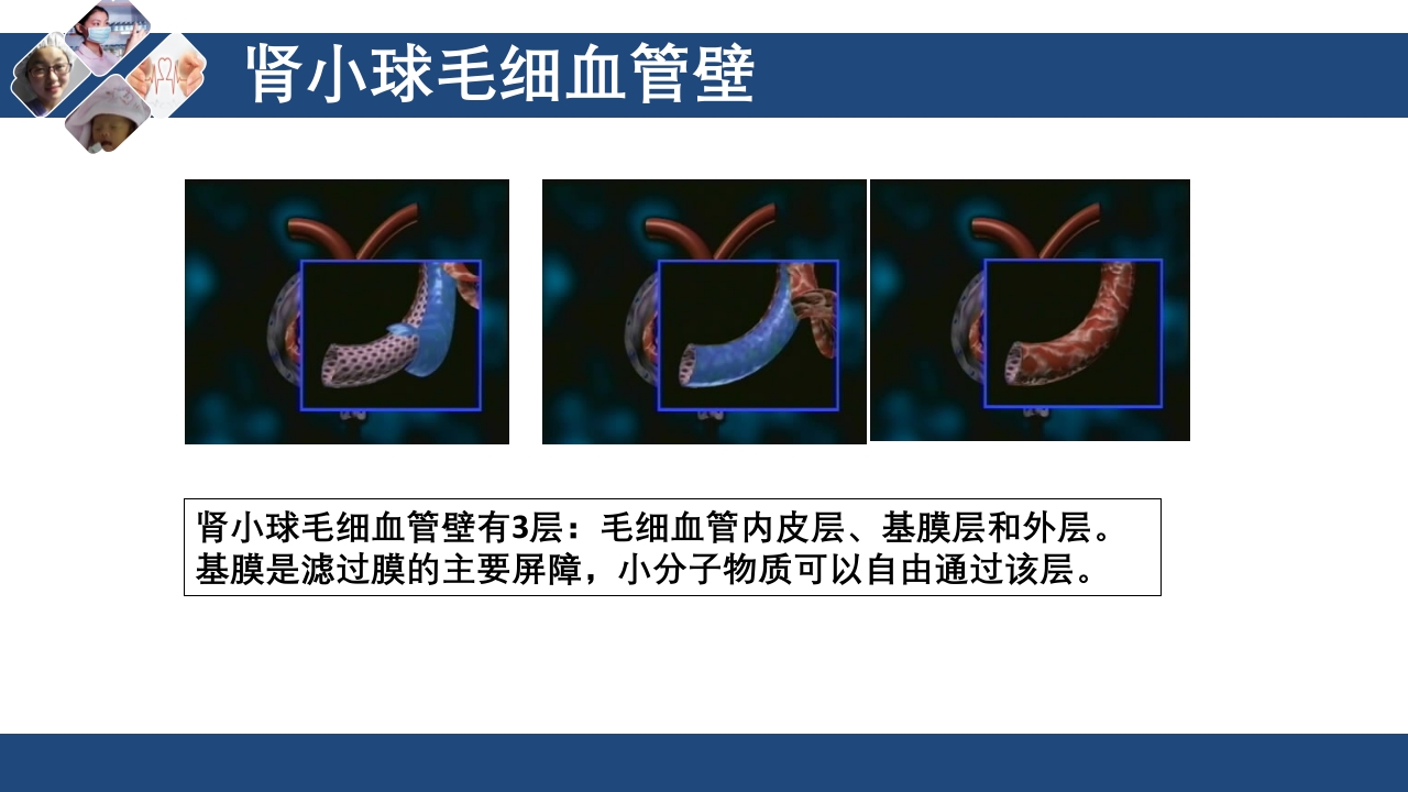 血液透析原理ppt课件9