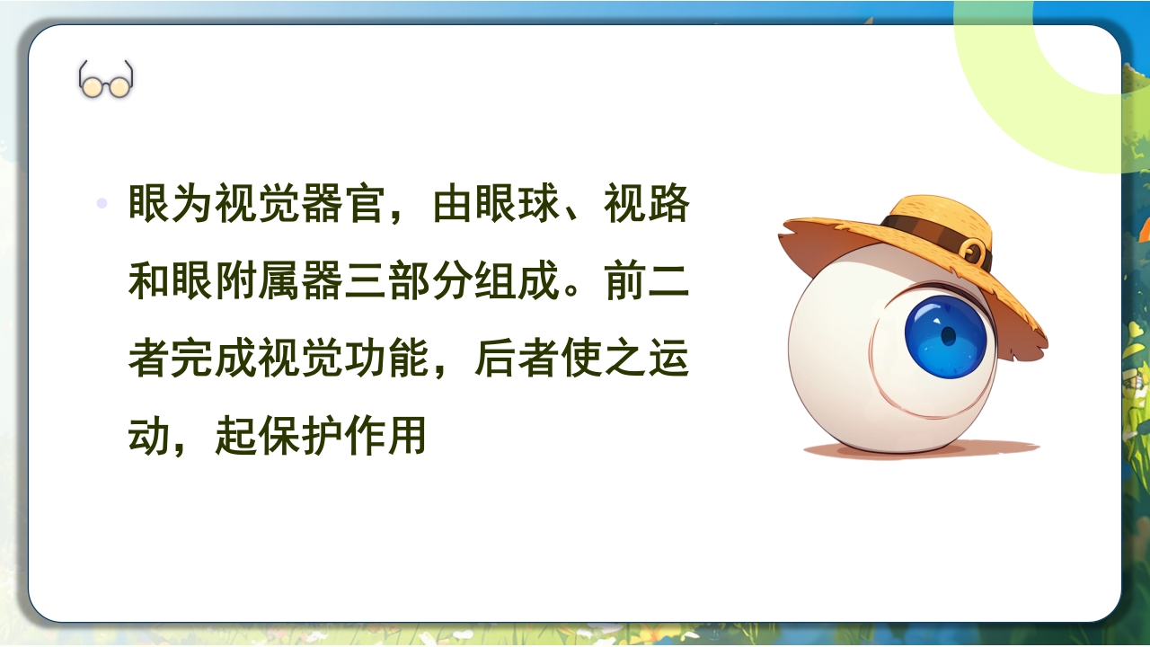 眼科常见病及护理PPT课件2