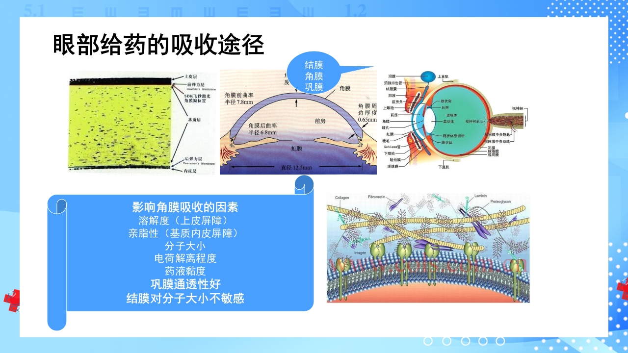 眼科常用药品及相关知识PPT课件2