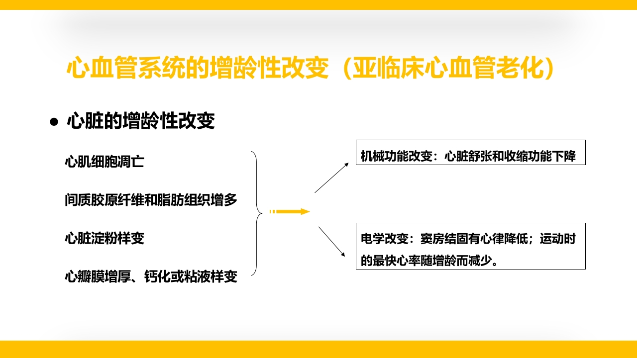 老年心血管疾病医学讲座PPT课件3