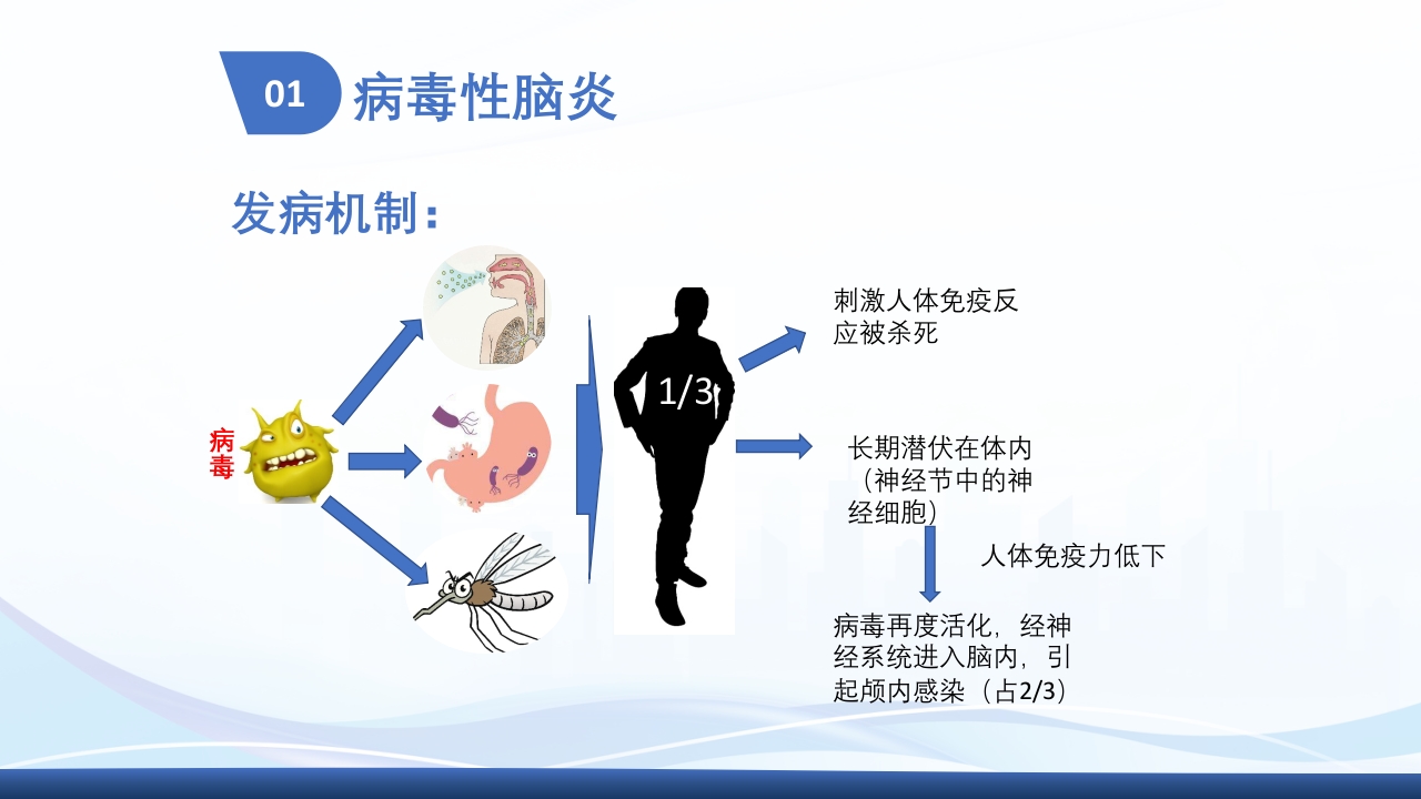 病毒性脑炎护理查房ppt课件5