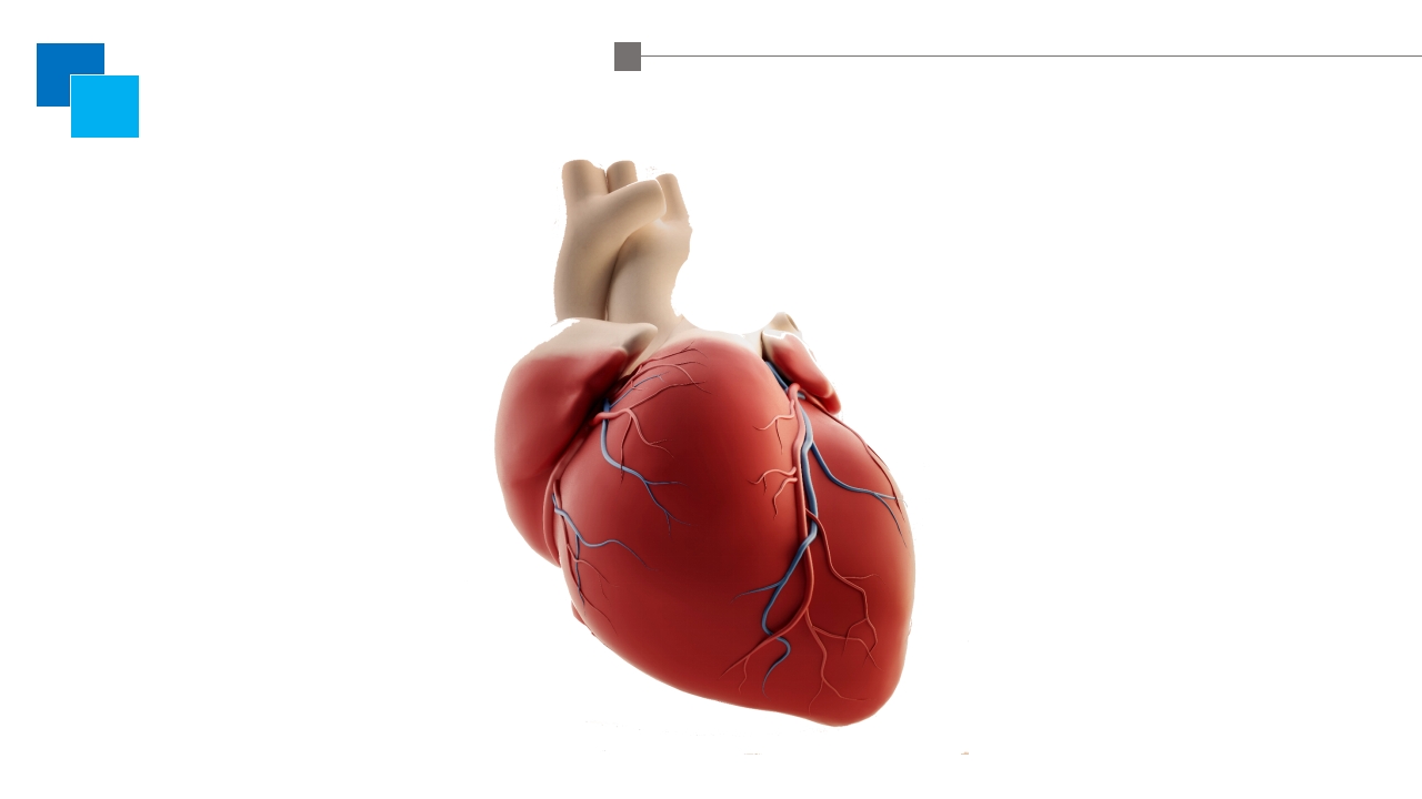 甲亢性心脏病PPT课件9