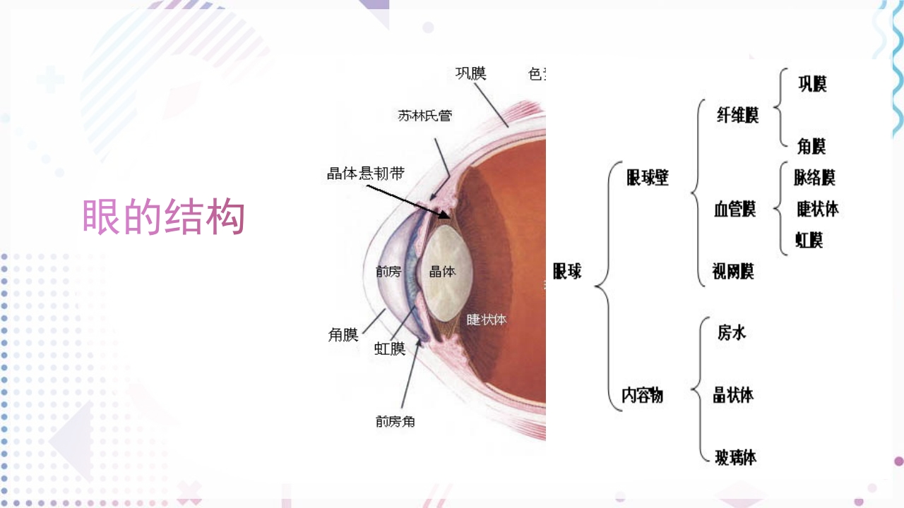 翼状胬肉的护理查房ppt2