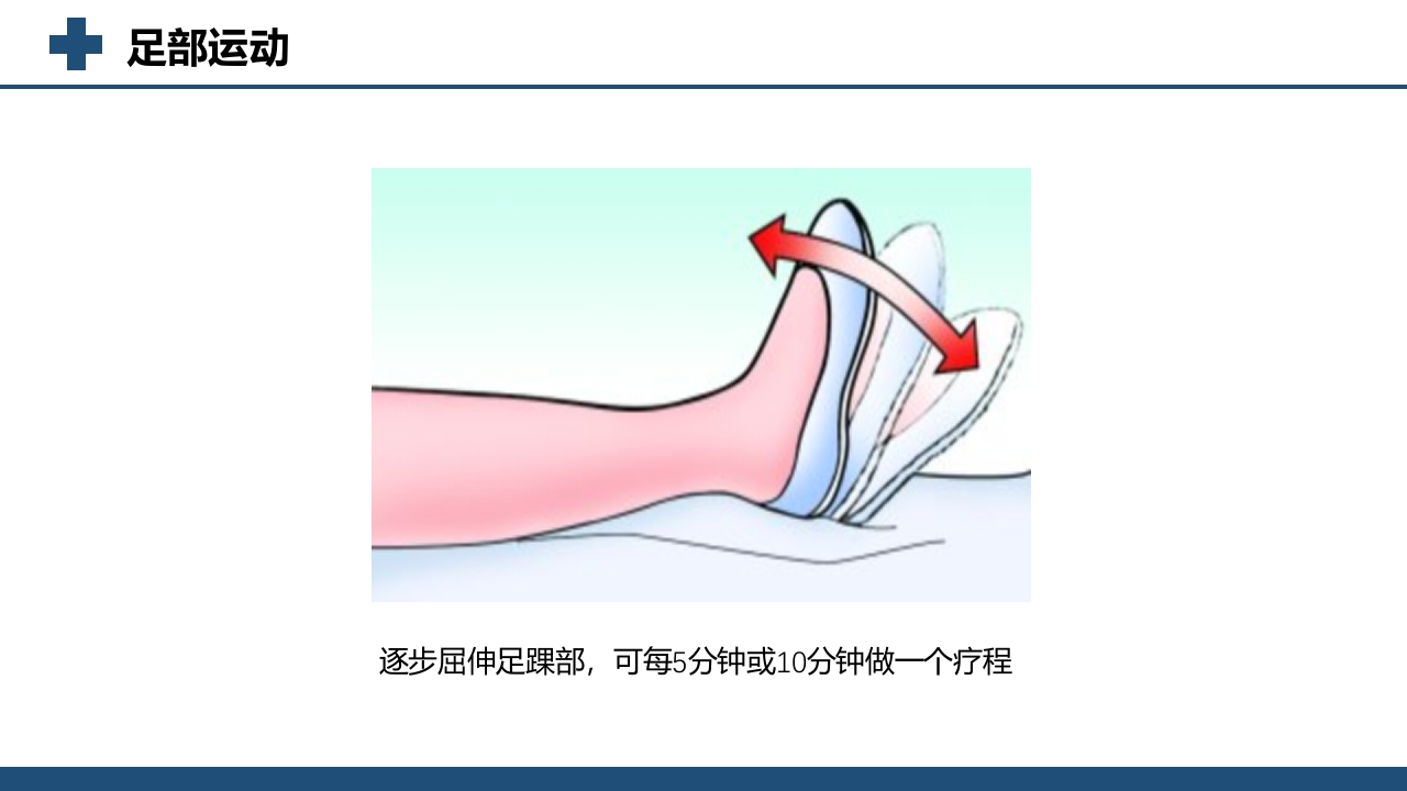 股股颈骨折术后功能锻炼方法PPT课件5