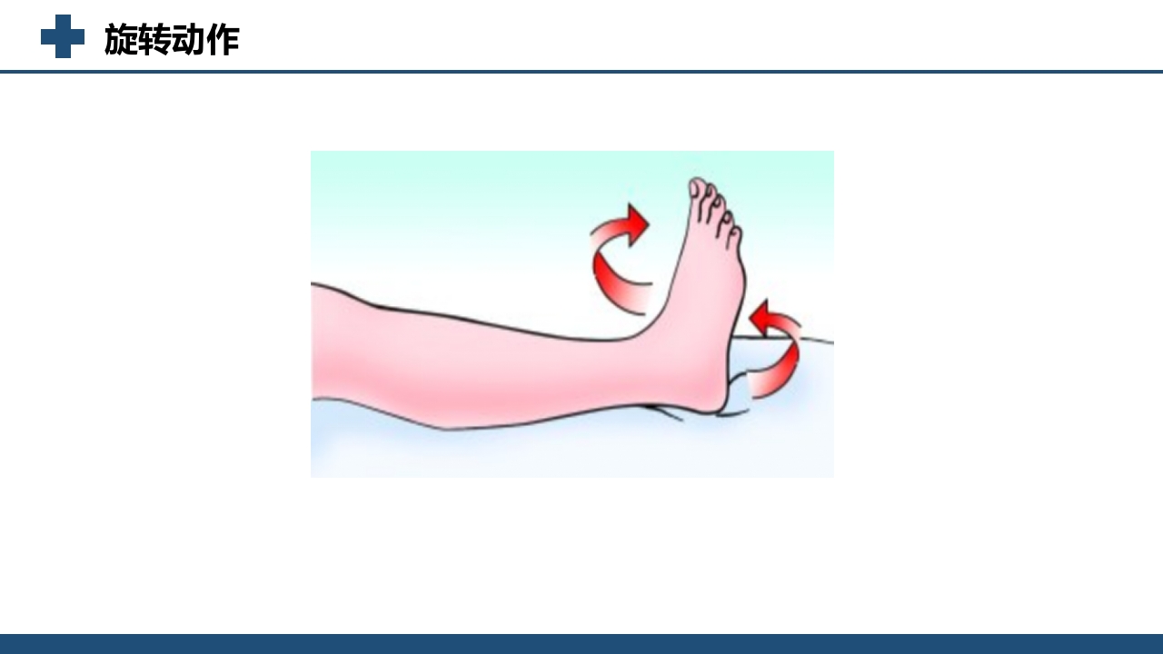 股股颈骨折术后功能锻炼方法PPT课件6