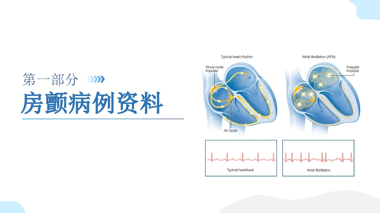 房颤患者护理查房PPT课件4